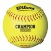 Wilson A9106BASA ASA 12" Fastpitch Softball-Dozen